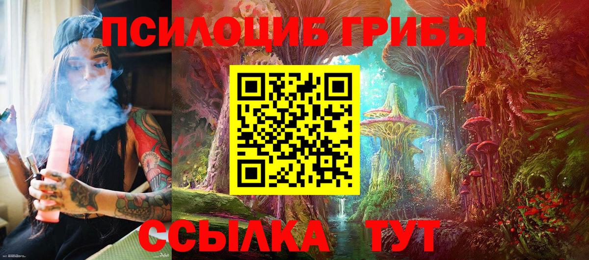 Псилоцибиновые грибы мицелий  Вход с VPN  Каменск-Уральский  Псилоцибиновые грибы Cubensis 