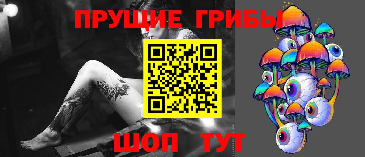 Псилоцибиновые грибы Magic Shrooms Каменск-Уральский